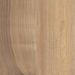 586 Wood Look Porcelain Tile