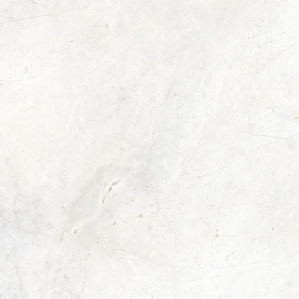 outdoor carrara porcelain tile 24x48