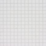 White Matte 301