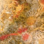 Gem Glass Bloomer Slab from Sicis Electric Marble Collection available at Ruben Sorhegui Tile Distributors Southwest Florida's largest tile, stone and mosaics distributor from Sicis Electric Marble Collection available at Ruben Sorhegui Tile Distributors Southwest Florida's largest tile, stone and mosaics distributor