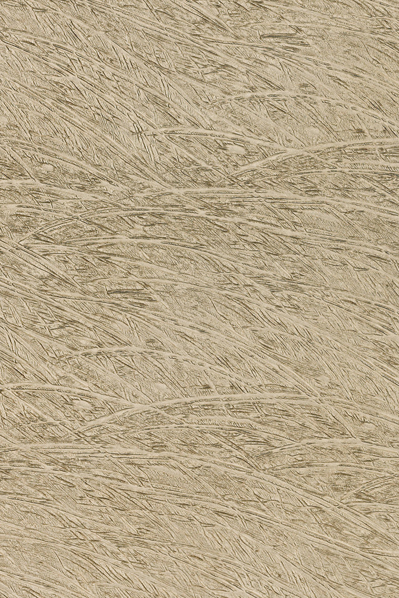 Feather Champagne Glass Slab available at Ruben Sorhegui Tile