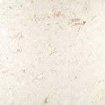 Fossil Shell Stone Paver | Natural Stone Pavers Products from Ruben Sorhegui Tile Distributors Southwest Florida's largest tile, stone and mosaics distributor