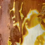 Gem Glass Mahogany Slab from Sicis Electric Marble Collection available at Ruben Sorhegui Tile Distributors Southwest Florida's largest tile, stone and mosaics distributor