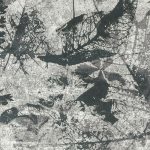 Ricordo Black Per Grey Glass Slab