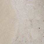 Natural Coral Stone Paver